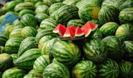 淄博吃瓜爆料事件真相,揭秘背后真相与网络舆论的反思